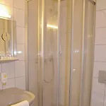 Goldener Karpfen Aschaffenburg