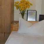 Goldener Karpfen Hotel 2*