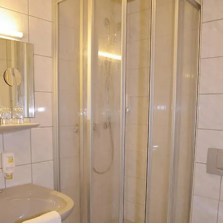 Goldener Karpfen Aschaffenburg