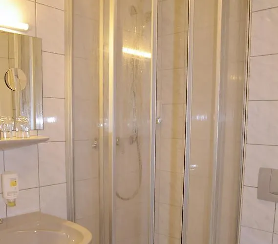 Goldener Karpfen Aschaffenburg