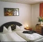 Goldener Karpfen Hotel 2*