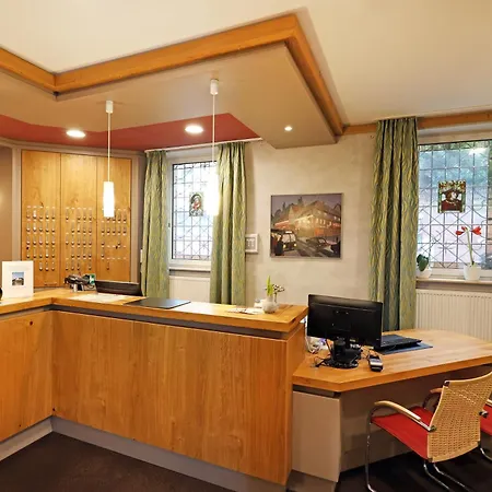 Goldener Karpfen Hotel 2*