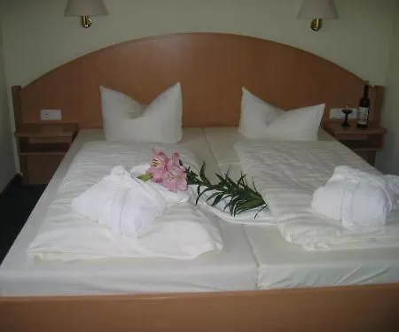Hotel Goldener Karpfen