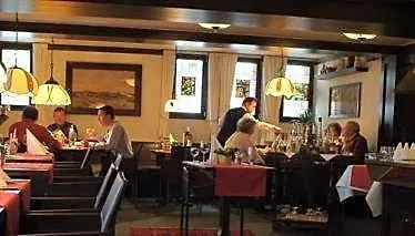 Hotel Goldener Karpfen Aschaffenbourg