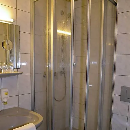 Goldener Karpfen 2*