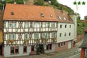 Goldener Karpfen Aschaffenburg