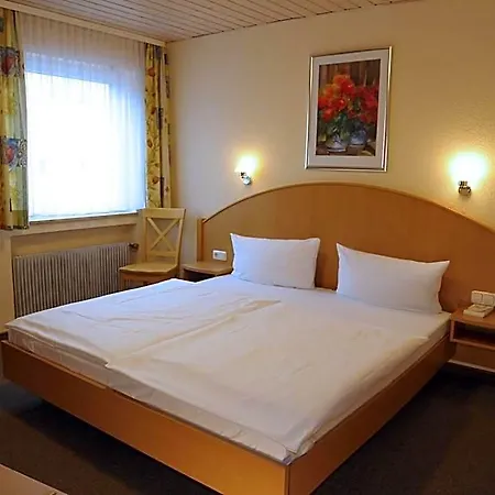 Goldener Karpfen Hotel 2*