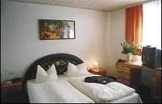 Goldener Karpfen Szálloda 2*
